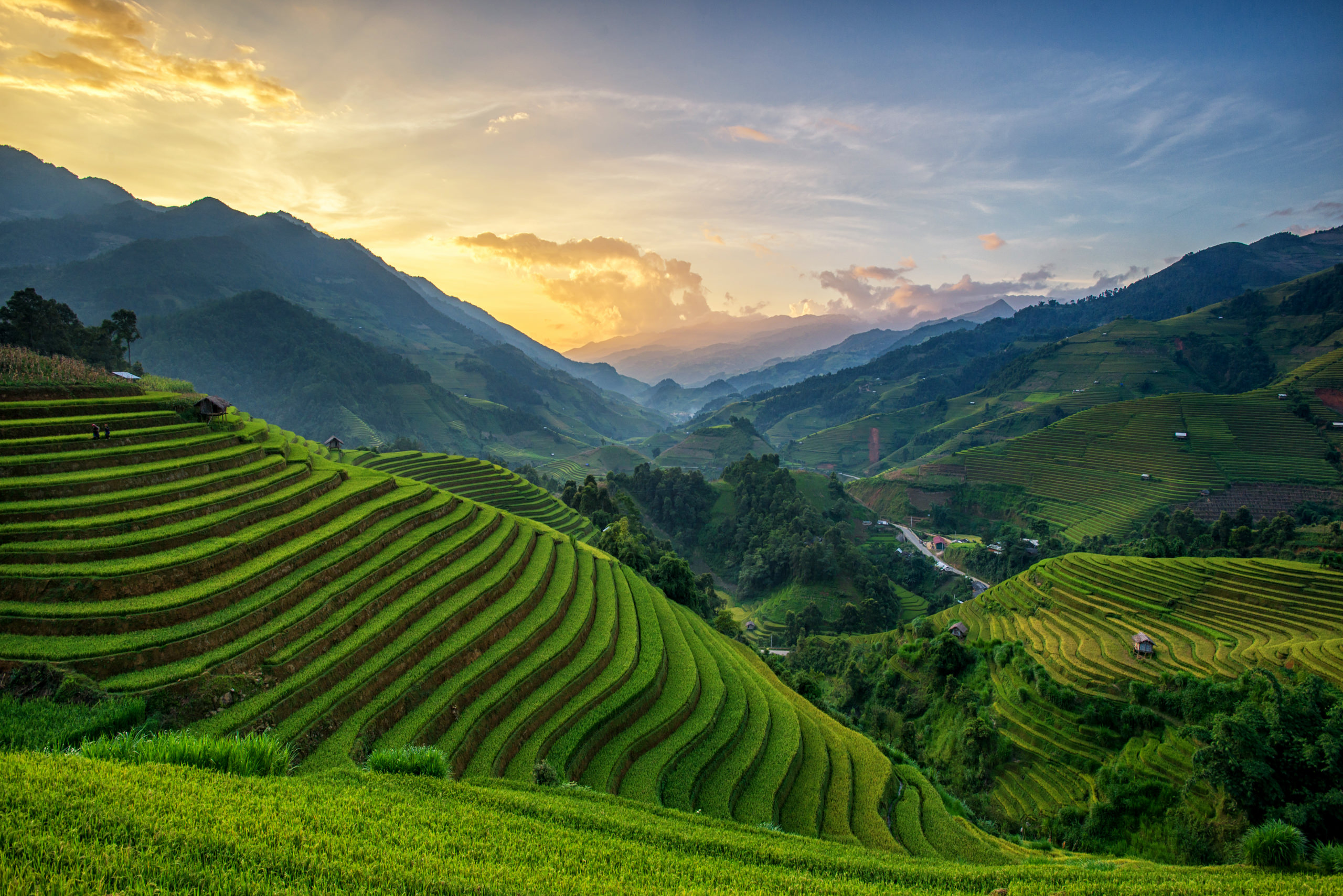panorama-rice-fields-terraced-sunset-mu-cang-chai.jpg
